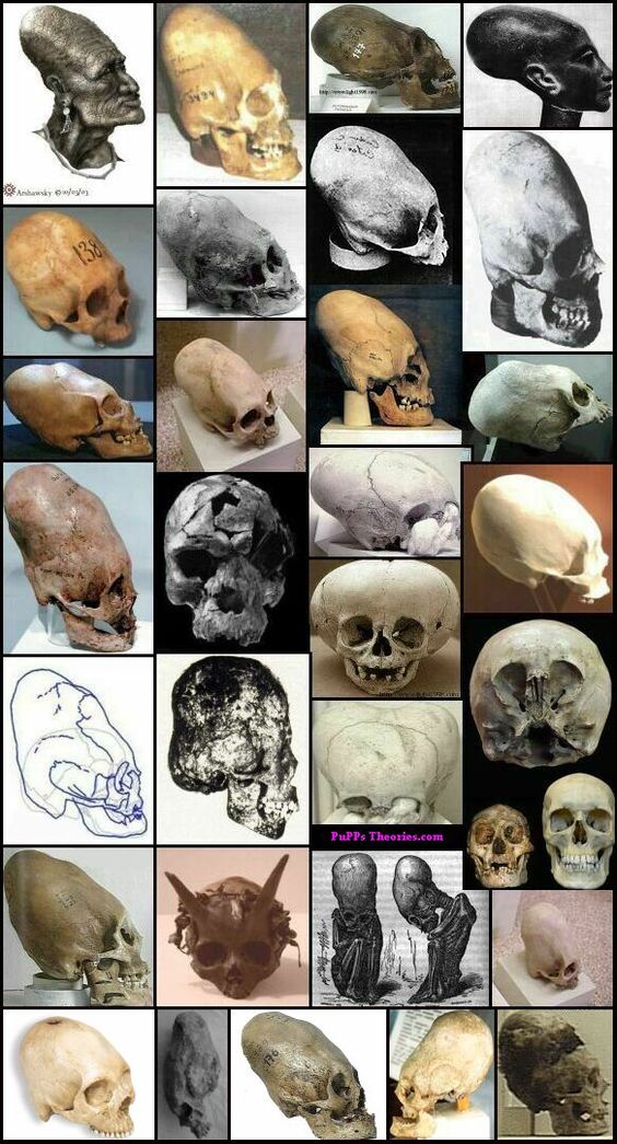 rabbitholebot tweet media