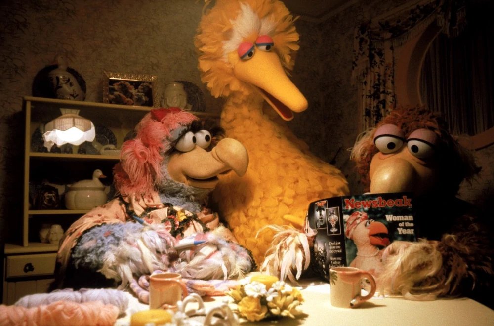 зебра сепер мем. мемы с животными популярные. Phrasal verbs rule separable. следуй за мечтой надпись. Follow that.