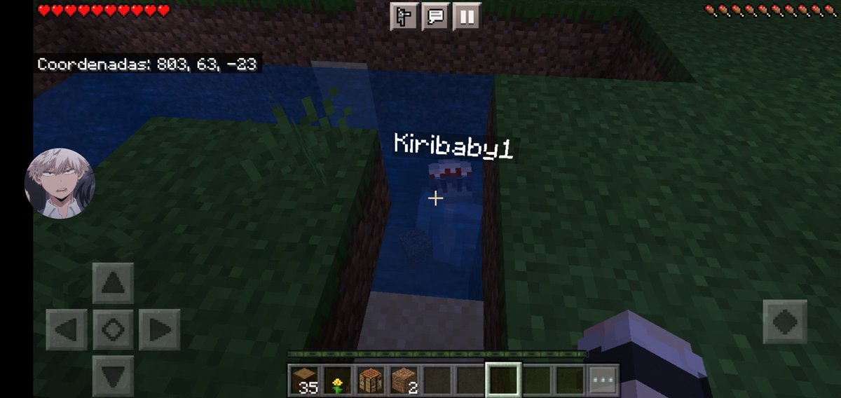 MEINFLETA's tweet image. Kiripima no eres un tiburón de verdad, sal de ahí wn