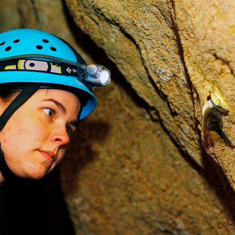 [Tweet by  @BatsForLife] After college, I spent a year in South Australia on a  @FulbrightPrgrm Fellowship studying the critically endangered Southern bent-wing bat in Naracoorte Caves National Park. Below are some photos inside Bat Cave.