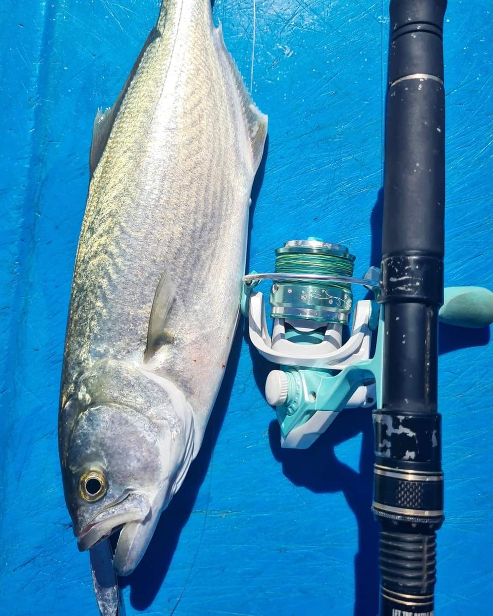 Nicki Hunt Fish'n WA tweet media
