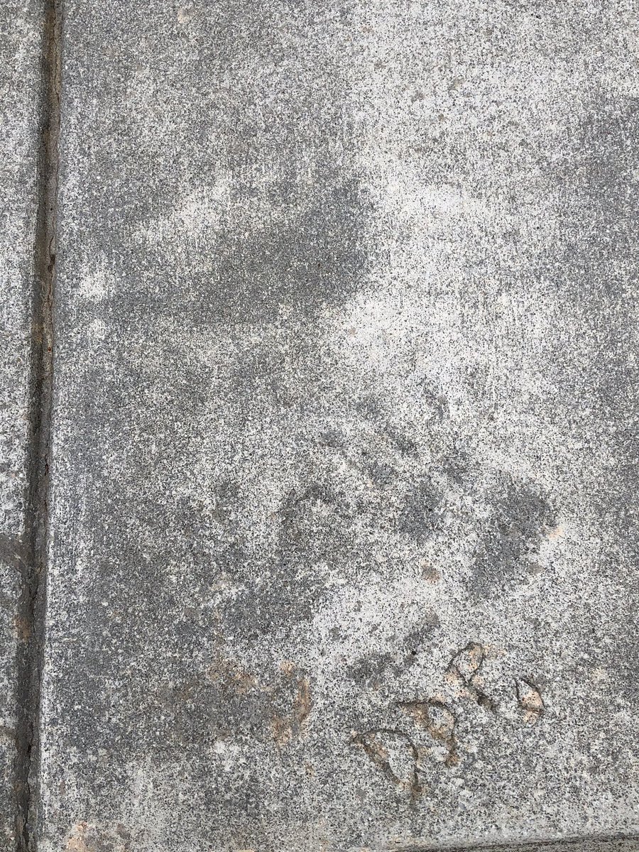 DdpyMatts's tweet image. A quick detour to the @DDPYoga Performance Center on the way home from Nashville to Tampa #ddpy #ddpyoga @RealDDP #ddpyfam