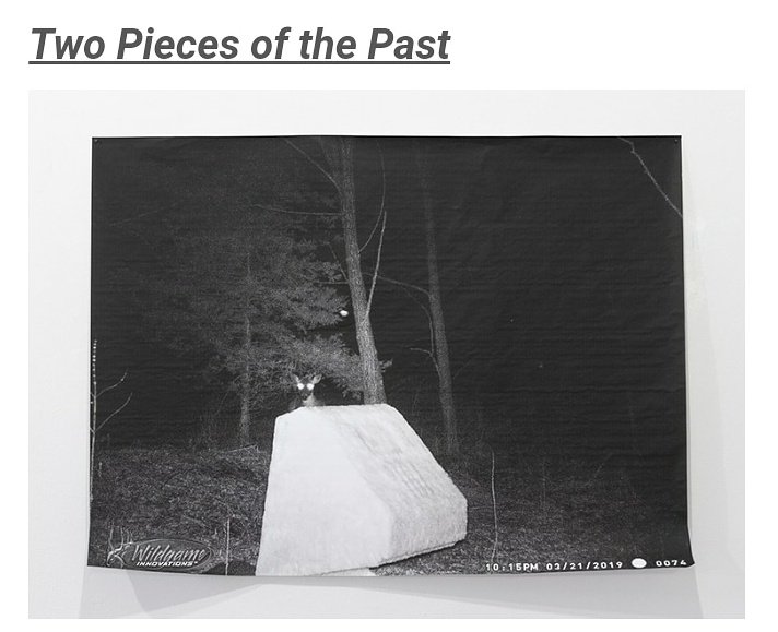 runner_magazine's tweet photo. ~ a gracefully meandering collaboration by Walter Lucken IV and Dominic Palarchio up now at https://t.co/MW0Yht9JJX ! ~ 🌐 ~ ! https://t.co/L5tvbdcqZz
