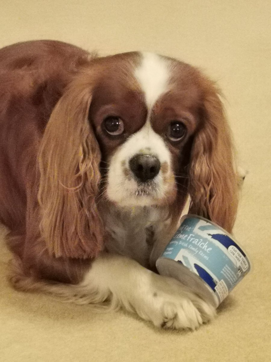 TopLine_Dance's tweet image. So great to see @Alancumming is a fan of #rufuskingcav