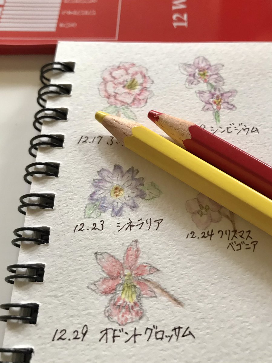 Twoucan 12月29日誕生日 の注目ツイート イラスト マンガ コスプレ モデル