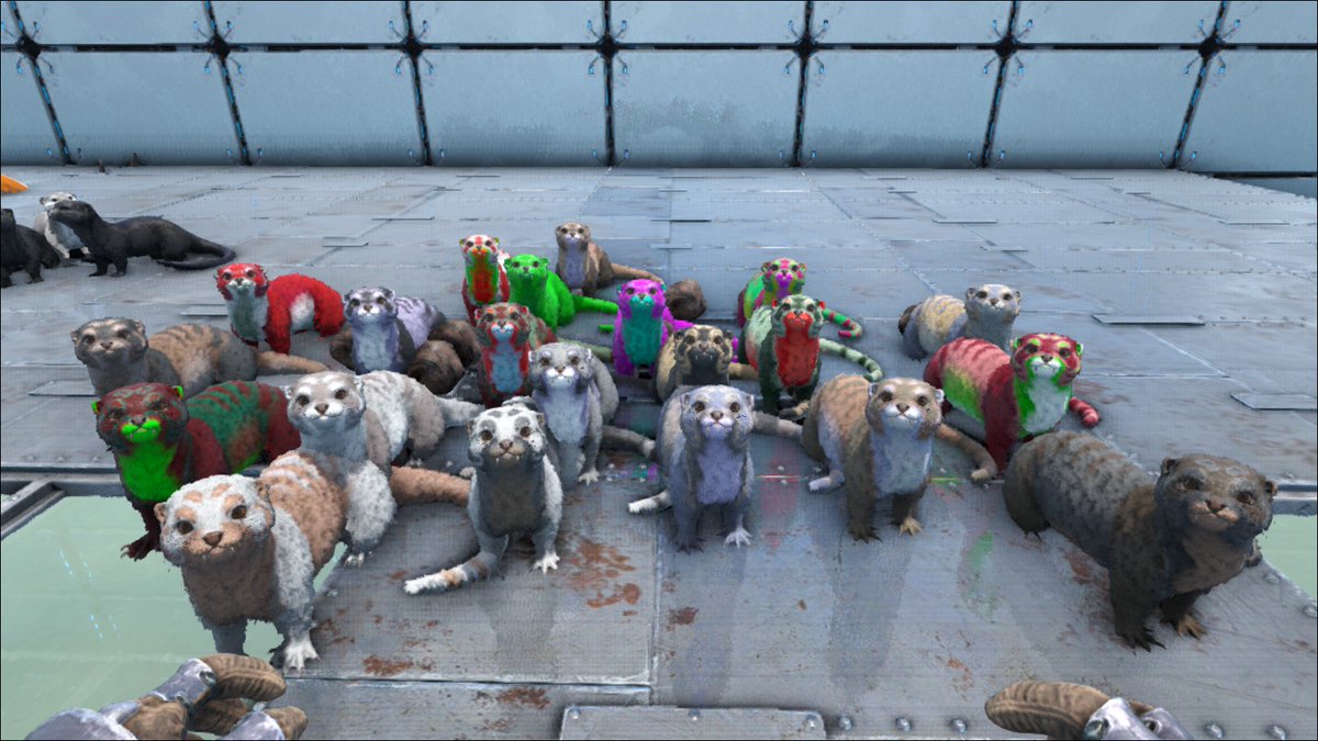 いたち Pc レバンさんが手伝ってくれて Xカワウソ２０匹ほどテイム出来ました W カワウソ湧く鯖に遠征しないとだめだということがわかりました W うちの鯖はダメだ Ark