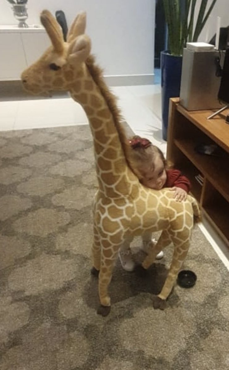 oficialgirafa's tweet photo. tava lembrando disso aqui...🥺 https://t.co/83bkxL5lSN
