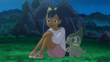 ポケモンベストウィッシュ