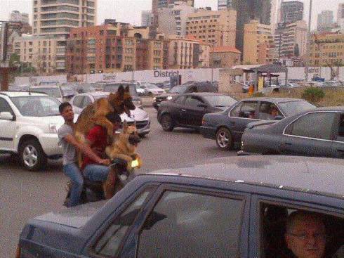fustoq7alabi's tweet photo. Driving in Lebanon: a form of contemporary art https://t.co/VPNs1ZfInu
