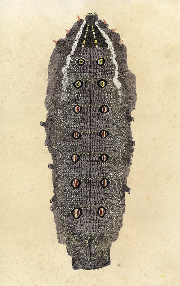 #2020年自分が選ぶ今年の4枚　#今年の4枚