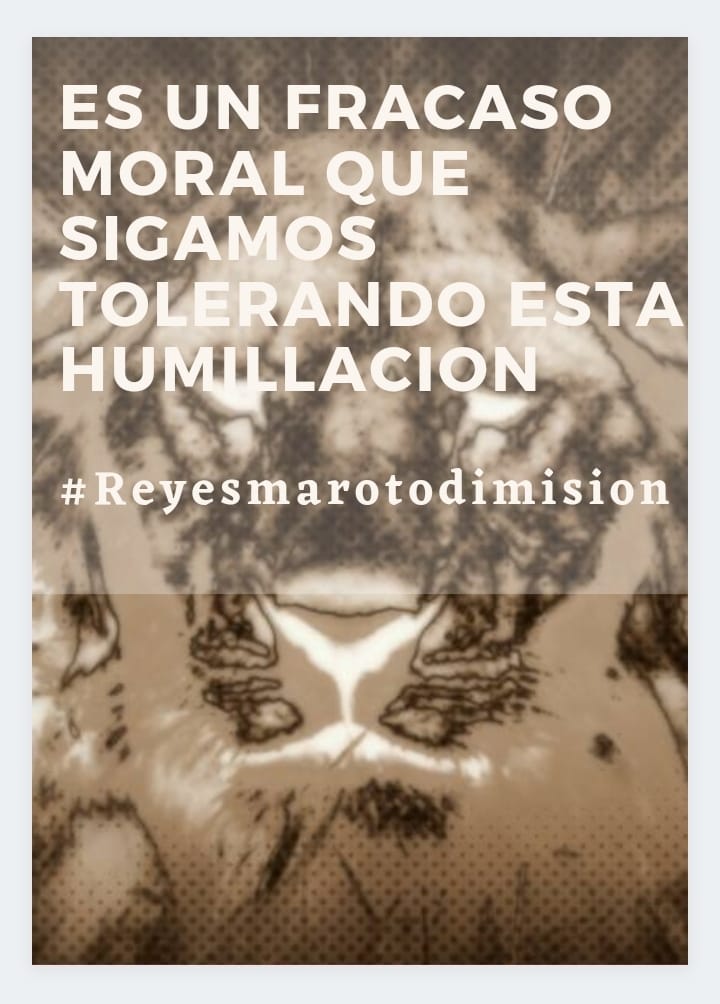 IrunLindos's tweet photo. Muchas empresas  del sector viajes ha dejado usted morir
El siguiente viaje es para usted Maroto llévate a casa tus mentiras Agencias de viaje en lucha hasta el final.
#Reyesmarotodimision
@MarotoReyes @sanchezcastejon @ComisionEuropea @noticias_cuatro @sextaNoticias @A3Noticias https://t.co/f6gK8OE95c