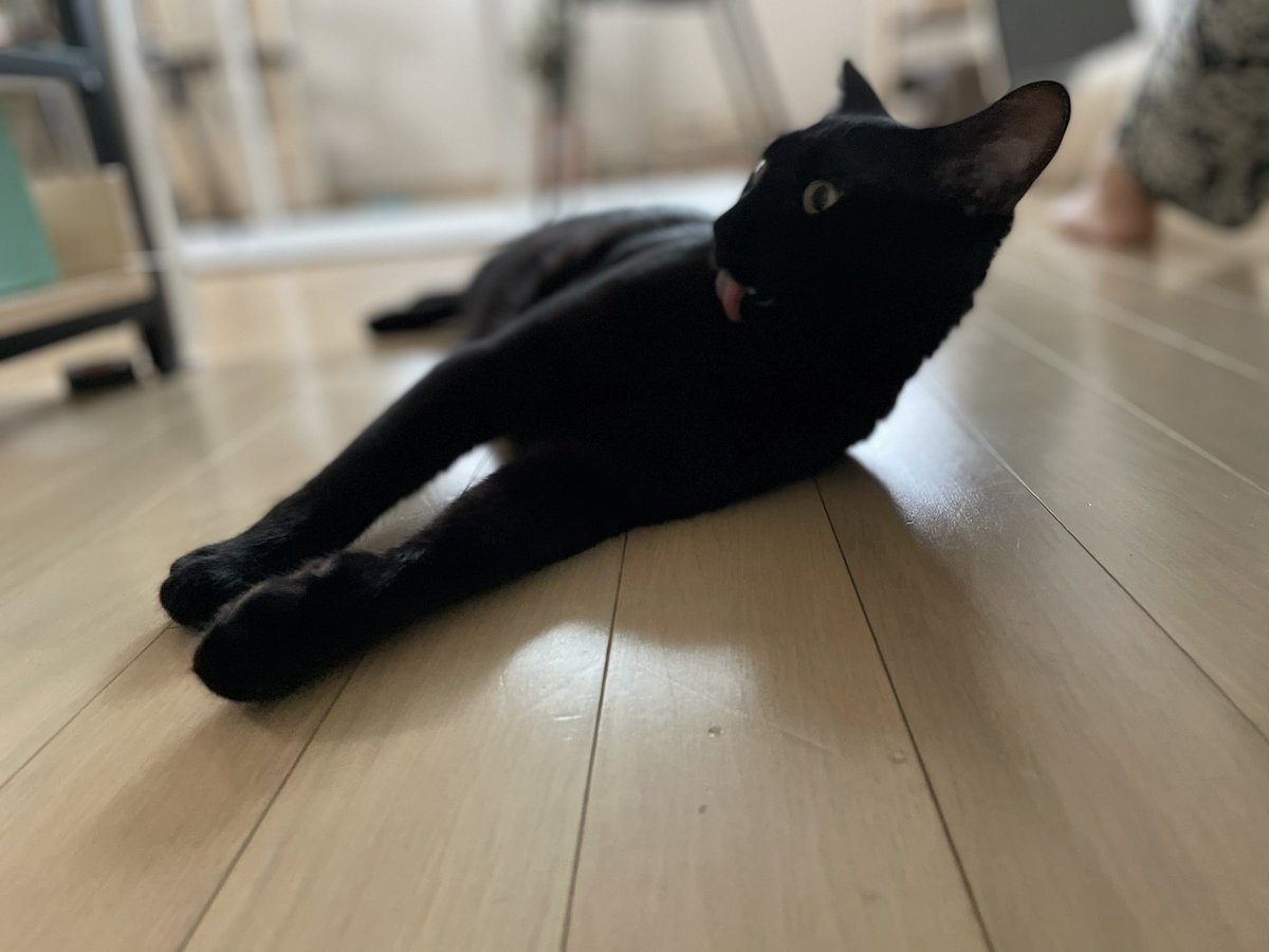 새치 (@koostav) on Twitter photo 