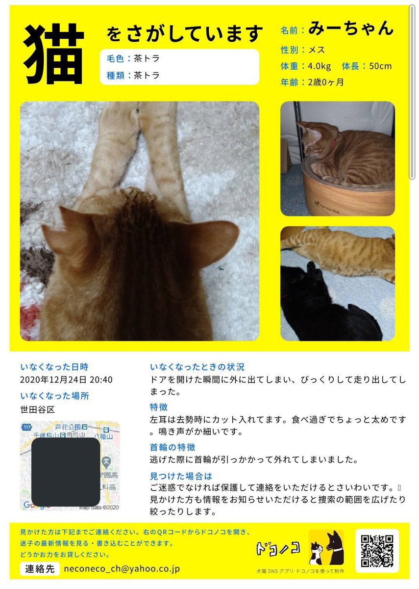 ภาพและว ด โอรายช อของ Kuuki Yome ว เคราะห ทว ตเตอร กราฟ ก Whotwi