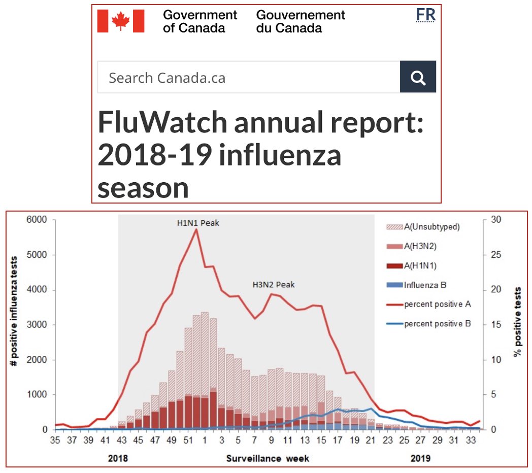 12/ For context, here is the prevalence of influenza for 2018-2019 from Fluwatch (Canada Govt) #COVID19  #Coronavirus  #lockdown  #science  #data  #Canada  #Ontario  #cdnpoli  #onpoli  #virus  #seasonality