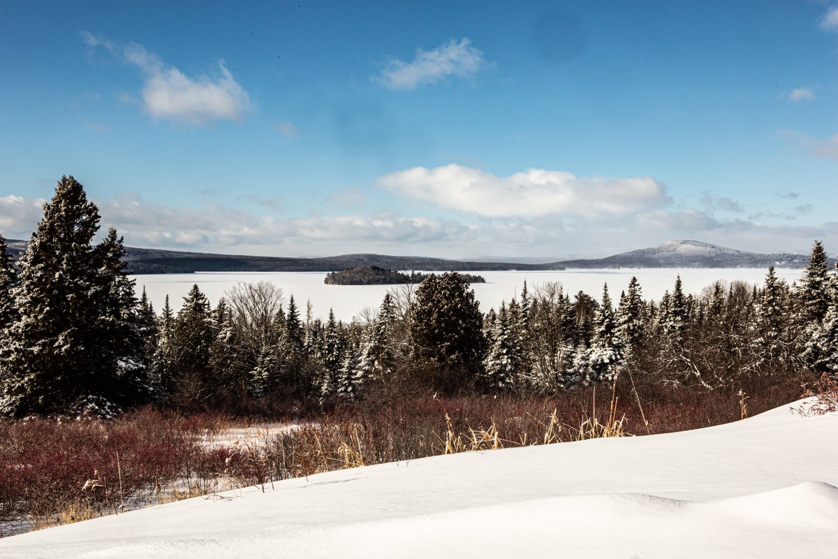 On the job views. 🌲