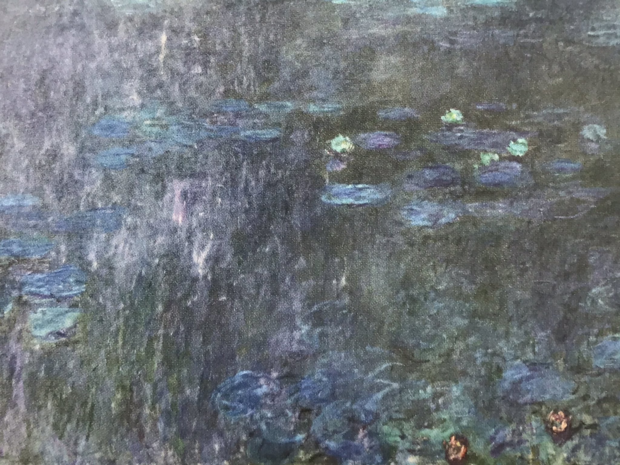 千樹本 一 モネが睡蓮を描いた 307枚目 1915 26年 モネ75 86歳 オランジュリー美術館 遂に最後の睡蓮 パリのオランジュリー美術館 8枚の大装飾画の一つ 本作は 第二室の西面に飾られた睡蓮 樹木の反映 T Co Qua1jkj4bu Twitter