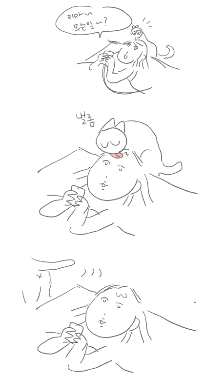 어젯밤에 있었던 일 