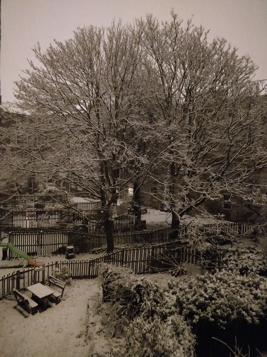 Meghna58367867's tweet photo. Midnight Snowfall 🌨️ #Edinburgh #Snowfall2020 #naturebeauty #nofilter https://t.co/oUxqhkNoaW