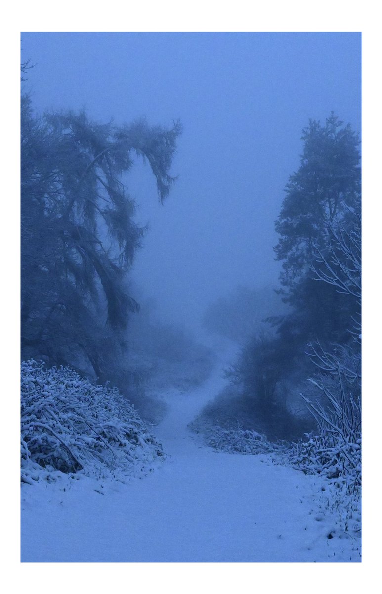 StumpStone's tweet image. Snowy wander #malvernhills #landscapephotography #nikon