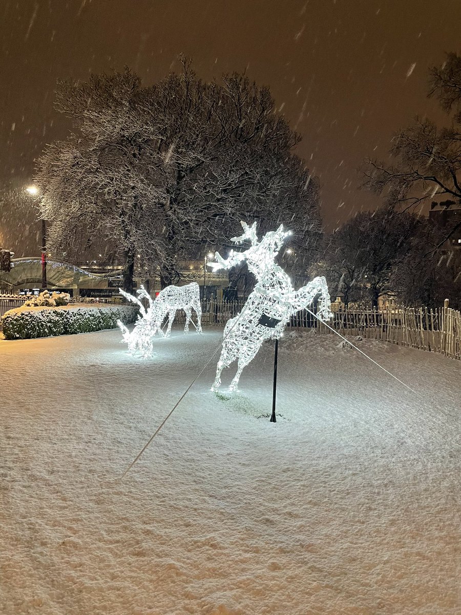 Well, Edinburgh was so pretty in the late night snow, just had to take a wander. It was well worth it...