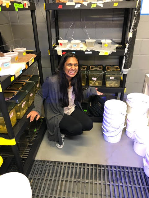 Anika Agrawal, 23, the 2013 ICSE topper who is studying MS in Marine Biology at Texas A&M University, said, “I don’t remember a single thing I learned in Class 10 because it was all short-term memorisation. We should have been taught to reason out and not mug up.”(7/n)