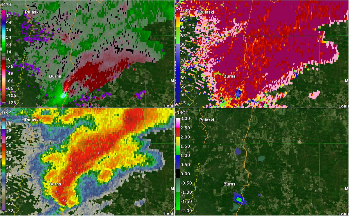 A shrimpercell formed in the open warm sector on February 5th, 2020. It had trouble sustaining long-lived tornadoes due to it's weak nature, but managed to spit out this amazing tree eater just north of Raleigh, MS.