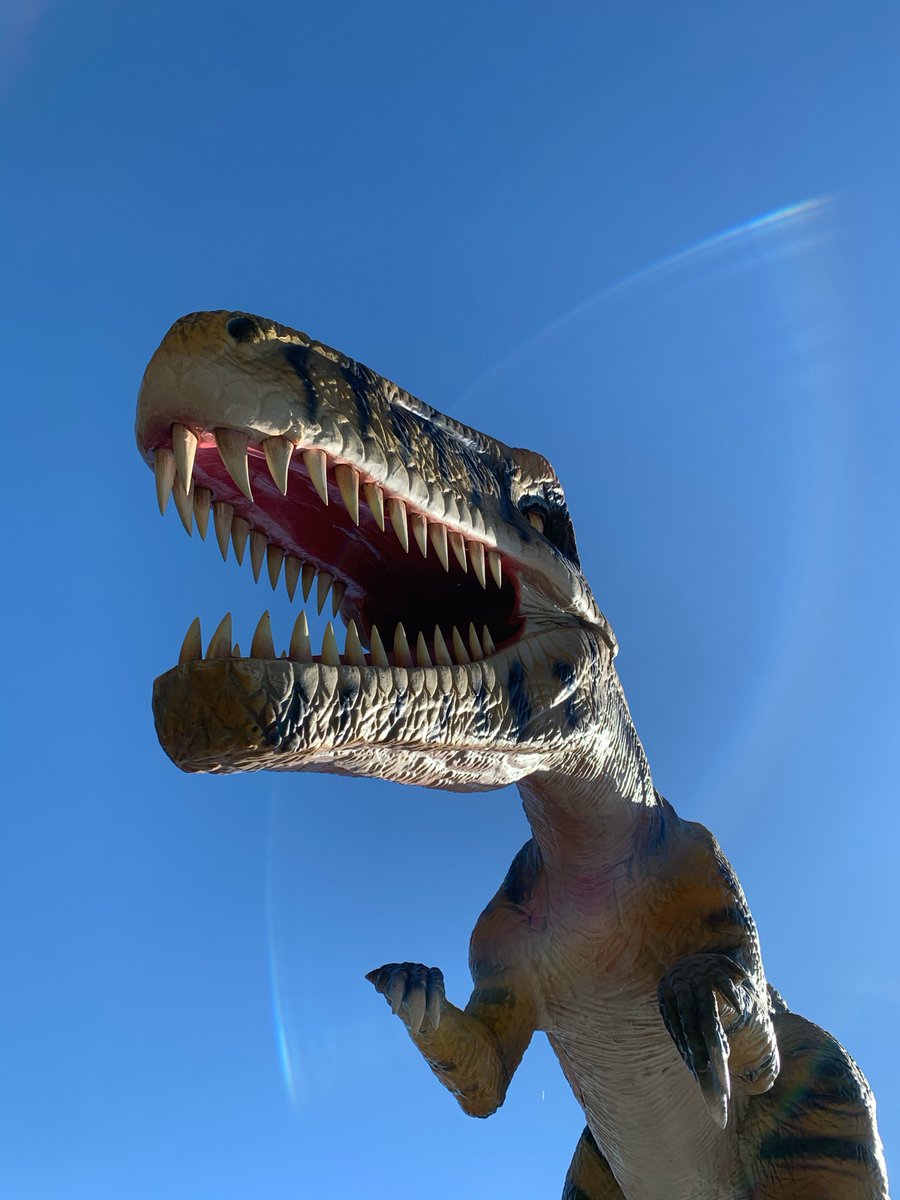 Dino Safari Usa What Do You Call A Gigantoraptor That Won T Stop Talking A Dino Bore Hahahaha T Co Xcewdgszlf Dinosafariusa Northpointmall Alpharetta Dinosaur Drivethru Dinosafari Atlantahappenings Dinoadventure