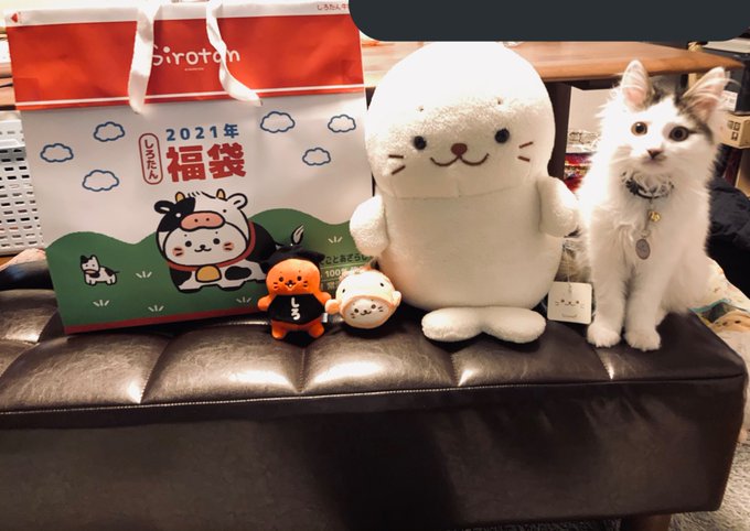 しろたん福袋21 しろたん福袋 中身ネタバレ画像まとめ めちゃめちゃかわいい まとめダネ