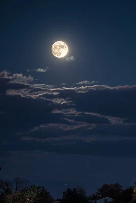 XSomosChicas_'s tweet image. Te dedico la última luna llena del 2020 ♥️