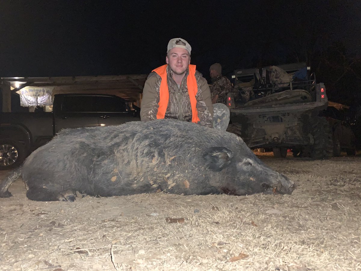 __buckshot__7's tweet photo. Big one!! Nearly 300 lbs!! #bacon #7mag #bamaswine https://t.co/P765gRGaOc