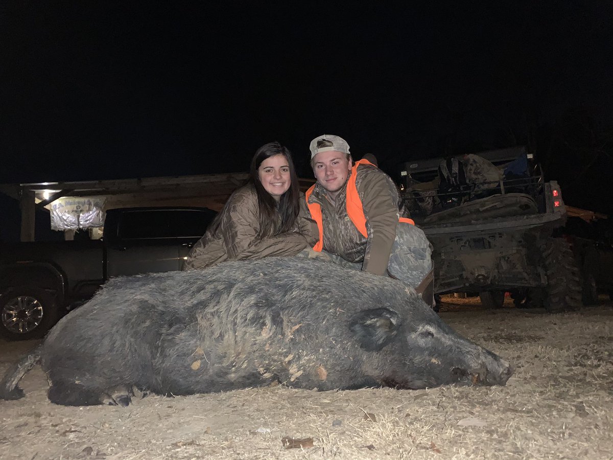 __buckshot__7's tweet photo. Big one!! Nearly 300 lbs!! #bacon #7mag #bamaswine https://t.co/P765gRGaOc