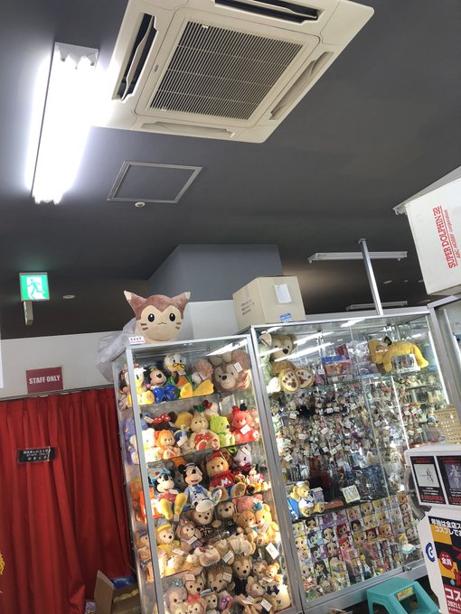 等身大オオタチのtwitterイラスト検索結果