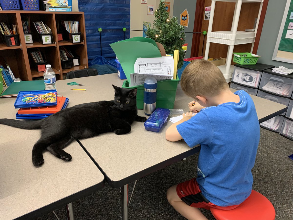 SUPER excited to get my 2021 <a href="/bestfriends/">Best Friends</a> Magazine in today!  I ❤️ that I can combine my 2 passions together to excite and educate. <a href="/HumbleISD_ASE/">Atascocita Springs</a> 
#McLainkittens #SaveThemAll #fosteringsaveslives #LightTheWay