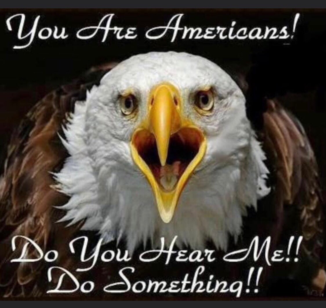 NOW!! Before it’s 2 fkn late🇺🇸👇

@AngelWarrior321 
@pattyradio93 
@EG4USA 
@KBrew4 
@Dv81Grey 
@Berriz69 
@SealeyGerald 
@2Glitz4U 
@SusanIverach 
@fookcu_f 
@_Testy2 
@mspdcali 
@LilRichie420 
@tigress_ms 
@HHere4trump 
@soul_katz 
@neologisme 
@trip_elix 
@308saiga 
@HP4USA