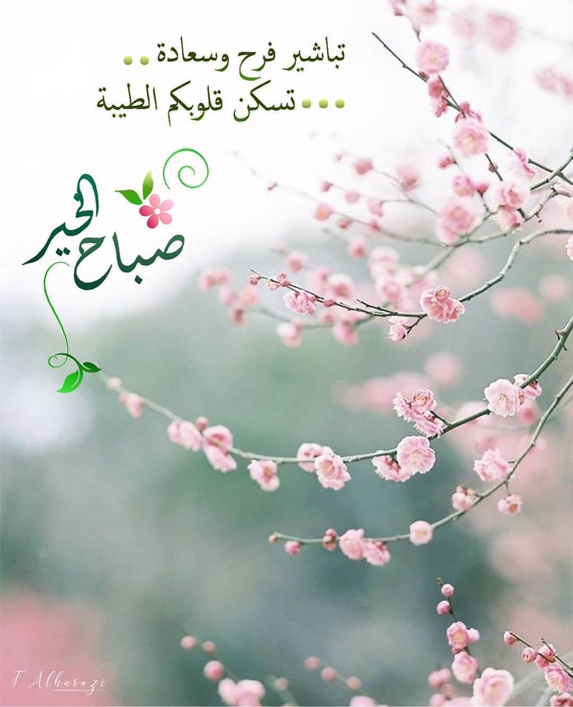 اللهم في هذا الصباح؛ ادخل السكينة الى قلوبنا، والمحبة في نفوسنا، والابتسامة في وجوهنا، والسعادة في بيوتنا. اللهم في هذا الصباح اجعل ذكرك لا يفارقنا.. ♡
آمين يا رب