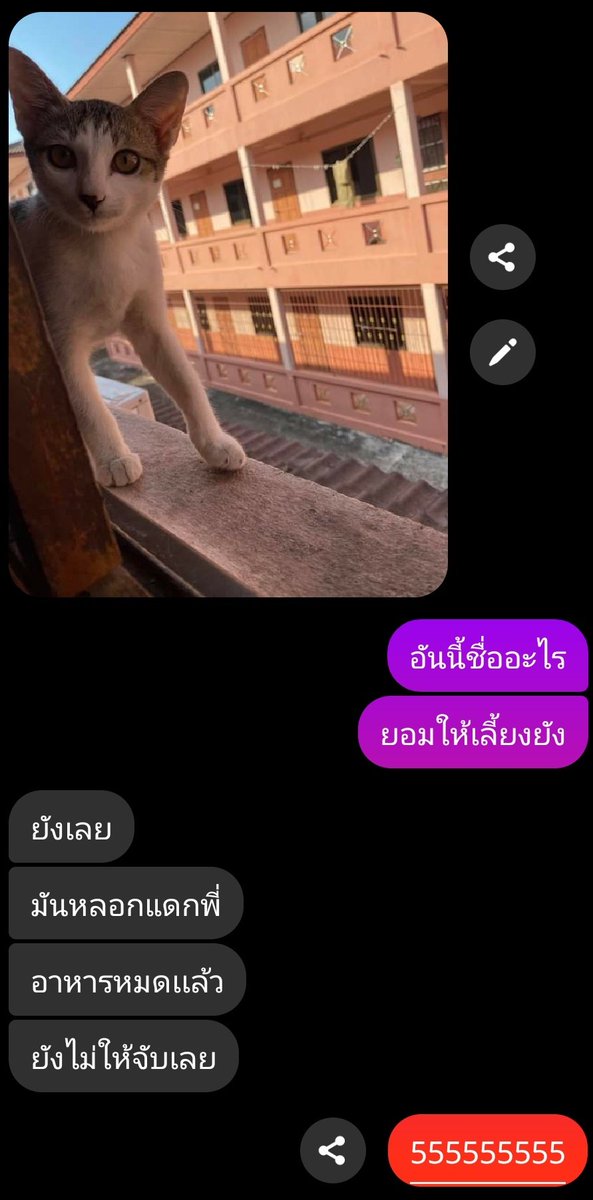╥﹏╥ tweet media