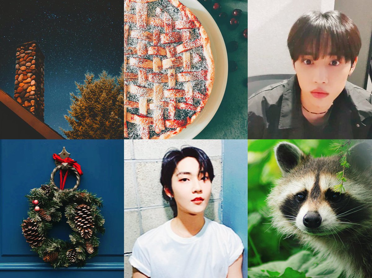 Cherry Pie Days
🎁 sunkev
🎁 5.7k
🎁 strangers to lovers cabin fic feat. xmas 
🎁 for @sunwooseok_ + <a href="/tbzsecretsanta/">Round 1 Over!</a> 
In which Sunwoo, a raccoon shifter, goes after a human’s food and comes face to face with the consequences - and a human named Kevin. 
archiveofourown.org/works/28303299