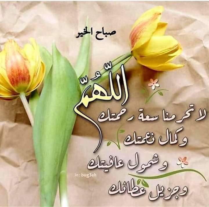 <a href="/ZainOsm72012245/">Ali osman</a> <a href="/SGharaiba/">سائده الغرايبه</a>