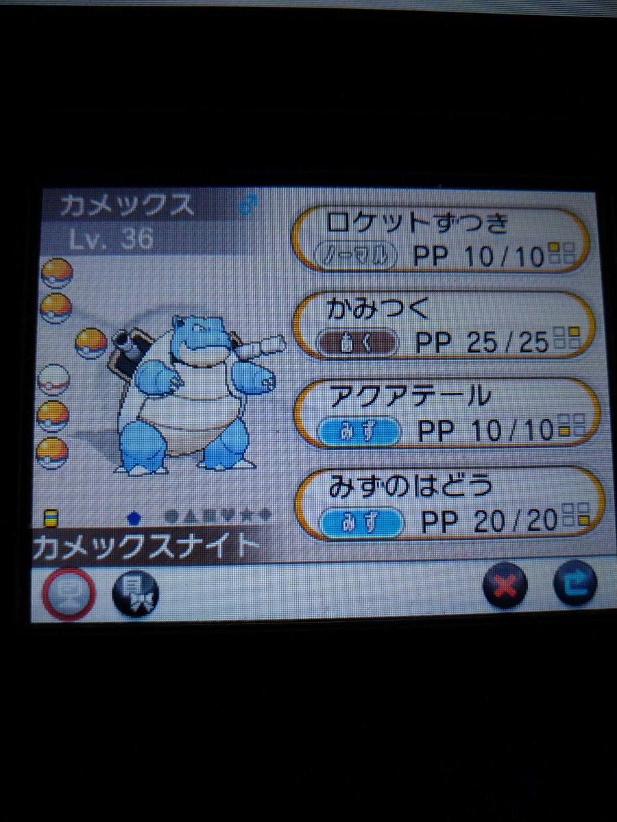 ポケットモンスターy Twitter Search Twitter ポケットモンスターy Twitter Search Twitter