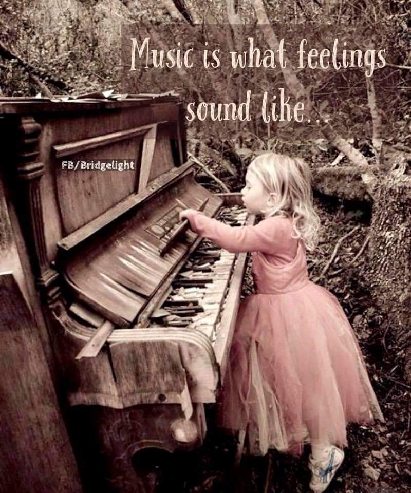 Mary O'Donnell (@jod1953) on Twitter photo 