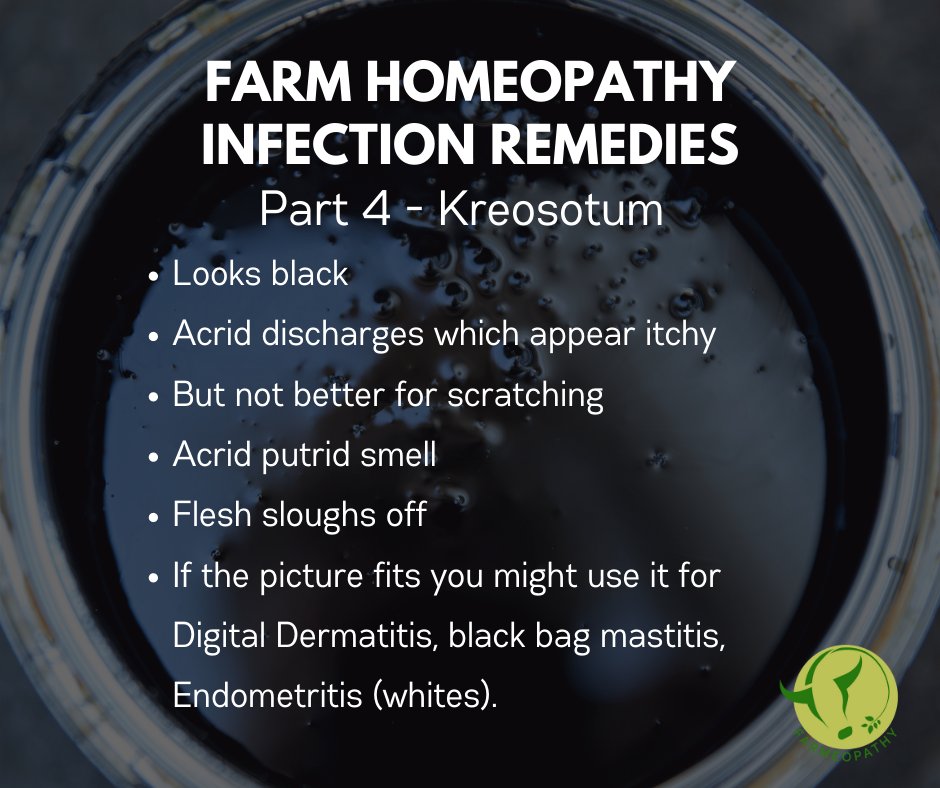 Homeopathy at Wellie Level (@wellie_level) on Twitter photo 