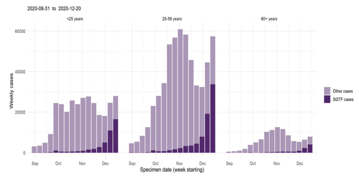 Weekly number of cases by age group and S-drop out (SGTF) shows the distribution of cases w/ other variants vs. B.1.1.7 (new variant). New variant (darker purple bar) is increasing across all ages, sharper increase is seen in the 25-59 age group including total # of cases. 24/
