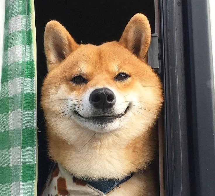 yamada jiro as doggoーa very much needed thread