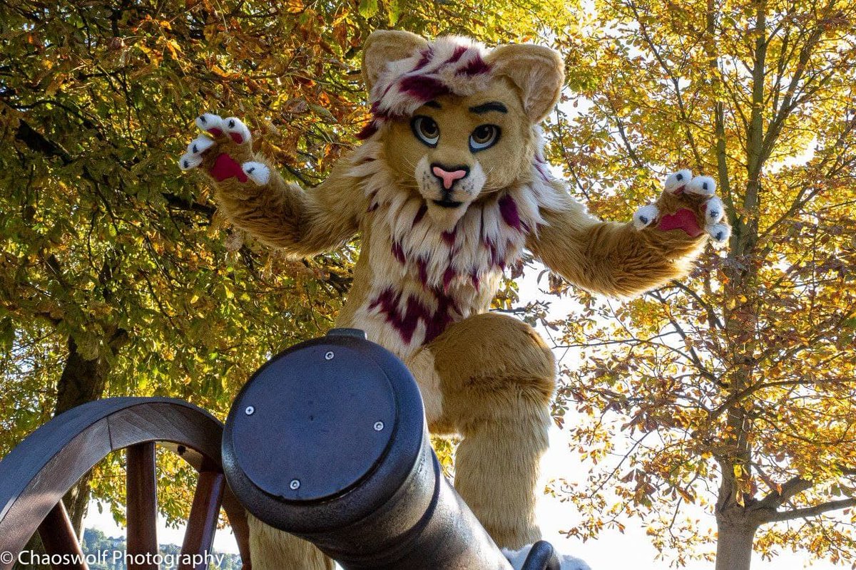 TakenyaChaos's tweet photo. I wanna show you my favourite photos of 2020. I took them this year as possible as it was.
Thanks to all my friends and my fluffy wolf @LunosWolf for making this a slightly better year despite everything ❤️
#furryfandom #furusiteveryday #furry #photoshooting https://t.co/22kCDArSlo