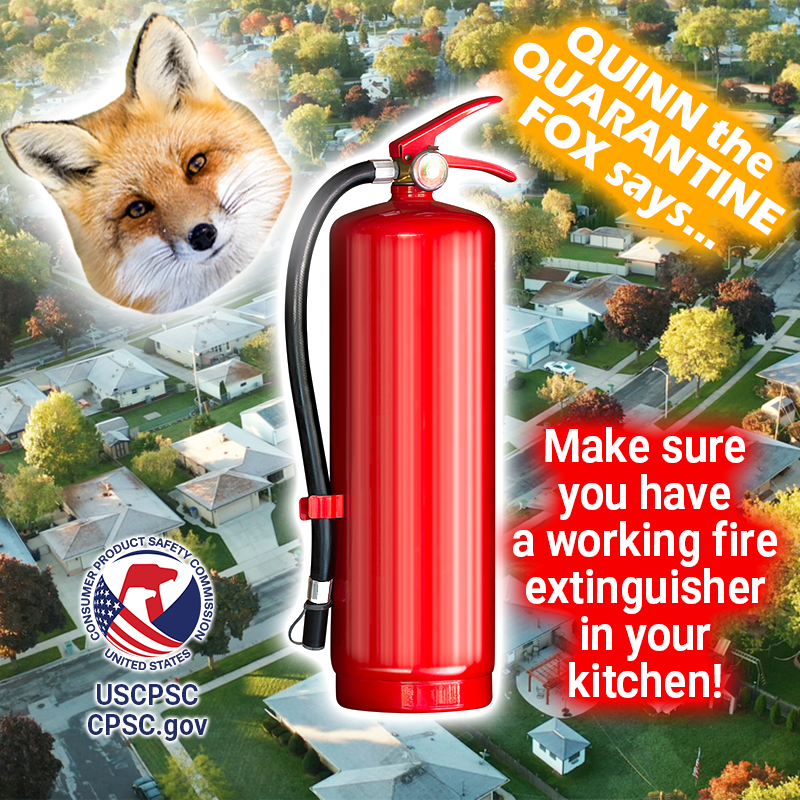 A fox with a fire extinguisher flying over the suburbs. The text reads: Quinn the Quarantine Fox says, Make sure you have a working fire extinguisher in your kitchen.