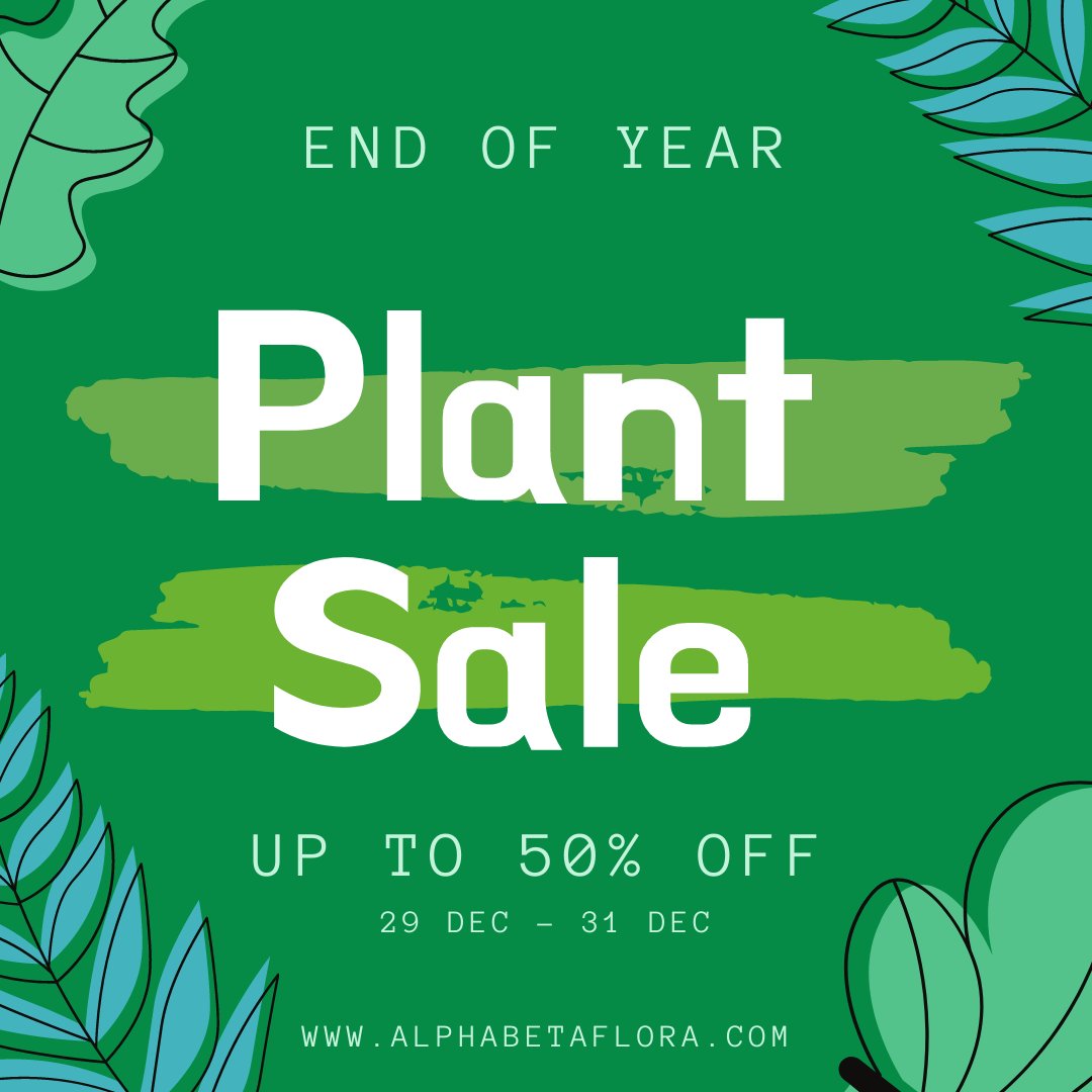 AlphaBetaFlora's tweet photo. It's our End of Year PLANT SALE! Get up to 50% off on house plants!

ORDER online at https://t.co/lqlSBdYmql or on WHATSAPP (+233) 502 287 787 and we'll deliver right to your doorstep!

This is one sale you don't want to miss out on 😉 https://t.co/Xh7QzFyEFS