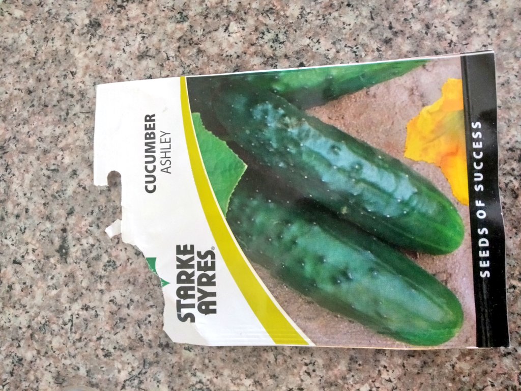 My little Ashley cucumbers that I'm growing in a crate are starting to flower 