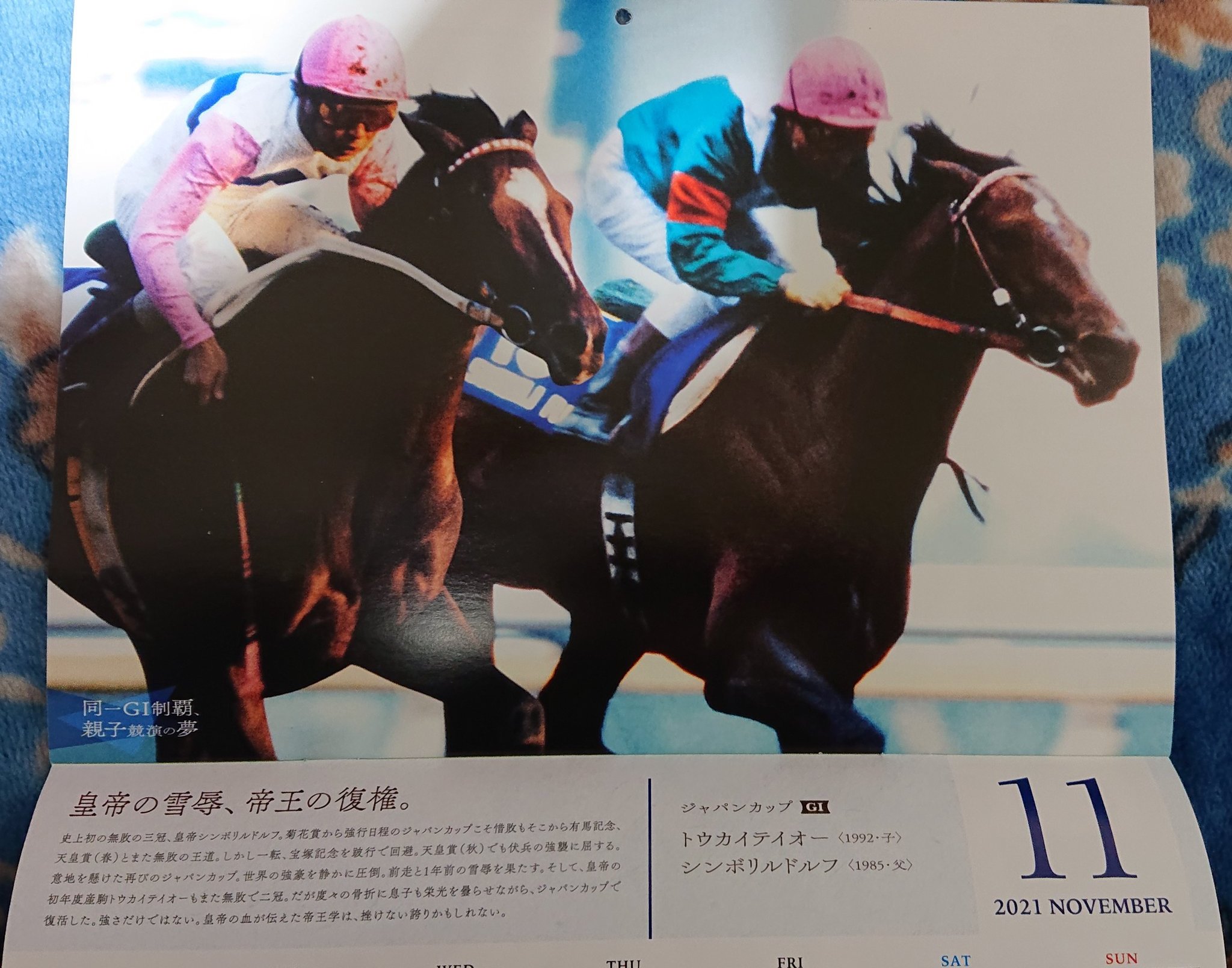 おゆう 21jraカレンダー11月 皇帝の雪辱 帝王の復権 トウカイテイオー ヒーロー列伝 帝王は 皇帝を越えたか これは痺れる 超絶格好よすぎる Jraカレンダー シンボリルドルフ トウカイテイオー ヒーロー列伝 T Co Dawmguvuvg Twitter