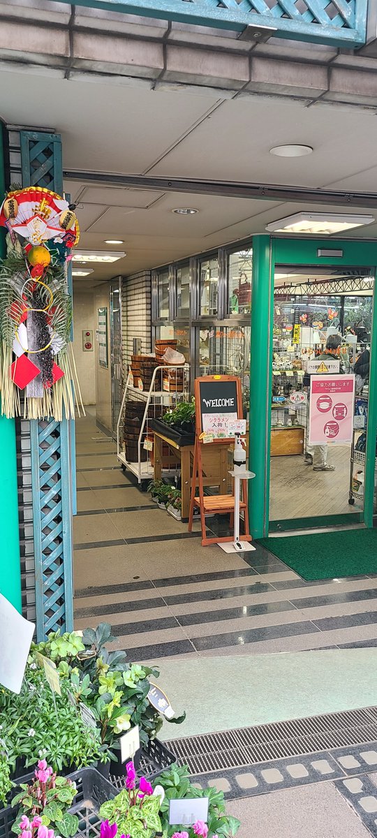 ホームセンターケンマート ガーデニング ガーデニングセンターケンマート 営業日のお知らせ ガーデニングセンターケンマートです 年末年始は12月31日から1月4日まで休業日とさせて頂きます 新年は1月5日より営業いたしますので よろしくお願い