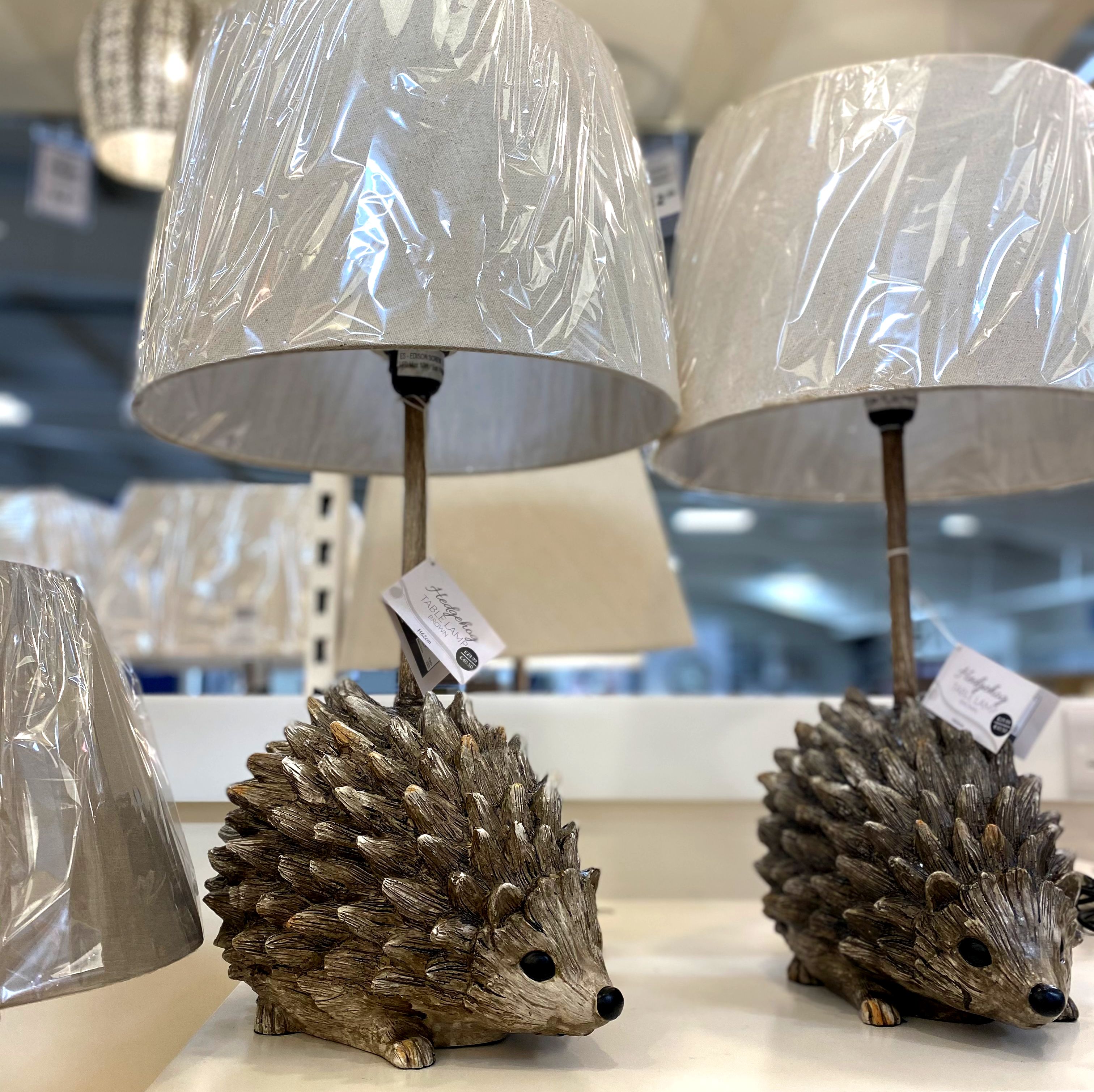 The range on sale hedgehog lamp